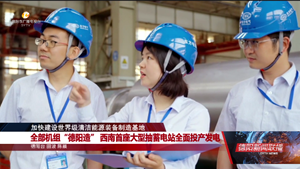 加快建设世界级清洁能源装备制造基地