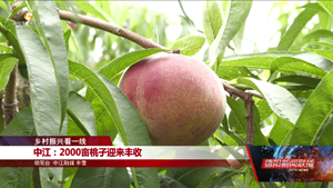 乡村振兴看一线：中江、绵竹