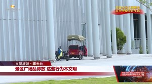 景区广场乱停放 这些行为不文明 