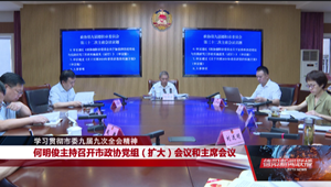 市政协召开党组（扩大）会议和主席会议