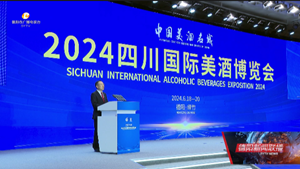 2024四川国际美酒博览会开幕