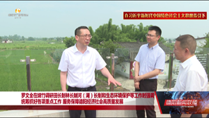 统筹抓好各项重点工作 服务保障德阳经济社会高质量发展