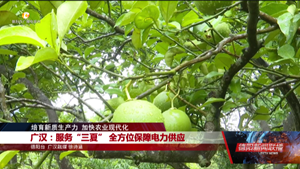 广汉：服务“三夏” 全方位保障电力供应