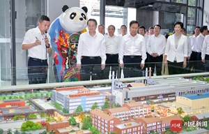浙江省代表团来川考察 王晓晖易炼红讲话 黄强施小琳出席