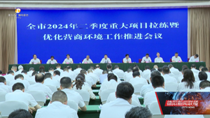 加快提升和持续打造一流营商环境 为高质量发展提供有力支撑和保障