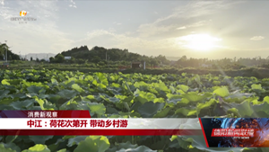 消费新观察