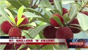 乡村振兴看一线：绵竹、什邡