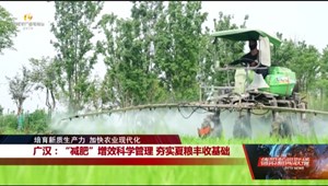 广汉：“减肥”增效科学管理 夯实夏粮丰收基础