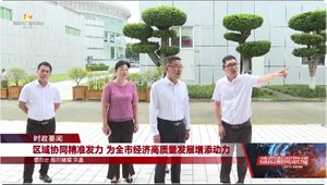 区域协同精准发力 为全市经济高质量发展增添动力
