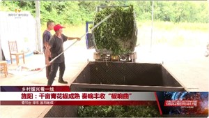 乡村振兴看一线：旌阳、什邡