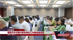 德阳市乡村振兴联系帮扶工作推进会召开