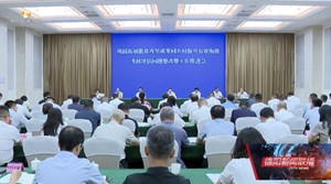 提高巩固拓展脱贫攻坚成果质量和成色 为全面推进乡村振兴打下坚实基础