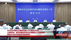 以更高标准、更实举措推进环保突出问题整治工作落地落实 推动全市生态文明建设实现质的提升