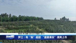 罗江：有“梨”超甜 “盛夏果实”清爽上市