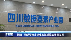 德阳：数据要素市场化改革赋能高质量发展