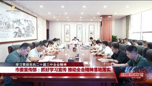 学习贯彻党的二十届三中全会精神：市委宣传部、市政府办