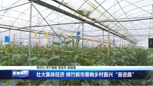 绵竹市新市镇：壮大集体经济 奏响乡村振兴“奋进曲”