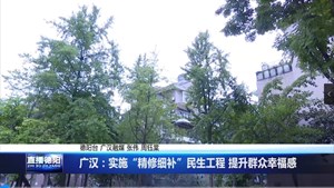 广汉：实施“精修细补”民生工程 提升群众幸福感