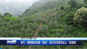 绵竹：围绕绿色发展“底色” 助力甘洛百姓走上“致富路”