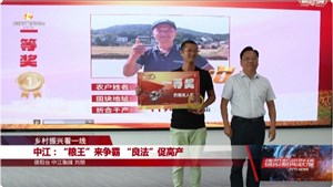 中江：“粮王”来争霸 “良法”促高产