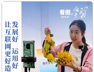 看图学习丨筑牢国家网络安全屏障 总书记引领网络强国建设