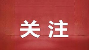 织密防护网 下好一盘棋 四川网络举报辟谣工作迈上新台阶