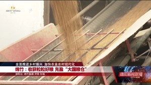 全面推进乡村振兴 加快农业农村现代化：绵竹、广汉