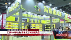 2024首届德阳茶博会启幕