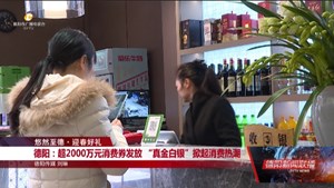 德阳：超2000万元消费券发放 “真金白银”掀起消费热潮