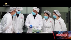 三星堆文物修复团队：匠心传承 文物焕新