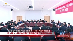 市九届人大四次会议各代表团举行第三次第四次会议