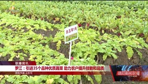罗江：引进35个品种优质蔬菜 助力农户提升技能和品质