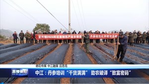 中江：丹参培训“干货满满” 助农破译“致富密码”