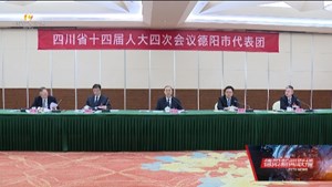 省十四届人大四次会议德阳代表团举行第四次、第五次全体会议