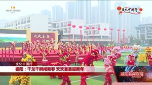 “千龙千狮闹新春 欢欢喜喜过大年” 四川省2025春节群众文化活动启幕