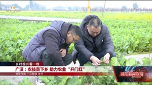 乡村振兴看一线：广汉、罗江