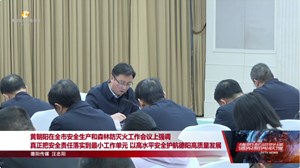 黄朝阳在全市安全生产和森林防灭火工作会议上强调 真正把安全责任落实到最小工作单元 以高水平安全护航德阳高质量发展