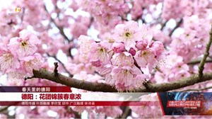 德阳：第一波春花上线 快来邂逅春意浪漫