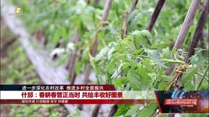 进一步深化农村改革推 进乡村全面振兴：什邡、广汉