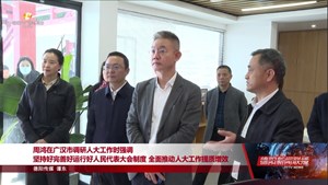 周鸿在广汉市调研人大工作时强调 坚持好完善好运行好人民代表大会制度 全面推动人大工作提质增效
