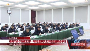 德阳市参与西藏定日6.8级地震救灾工作总结通报会举行