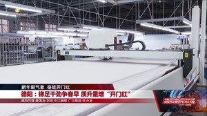德阳：铆足干劲争春早 质升量增“开门红”