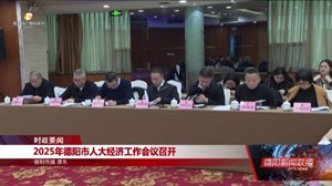 2025年德阳市人大经济工作会议召开