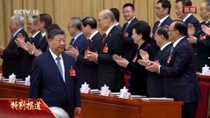 十四届全国人大三次会议举行第二次全体会议 习近平等党和国家领导人出席