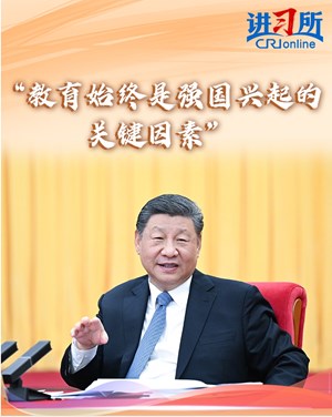 习近平的两会之问丨“你这个群主是怎么当上的？”