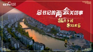 总书记的两会关切事｜振兴乡村 奔向共富