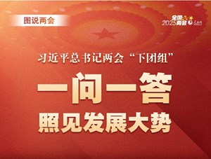 图说两会：习近平总书记两会“下团组” 一问一答 照见发展大势