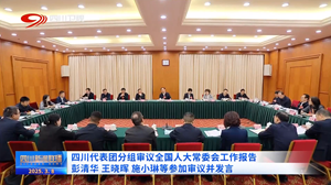 四川代表团分组审议全国人大常委会工作报告 彭清华王晓晖施小琳等参加审议并发言