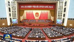 十四届全国人大三次会议举行第二次全体会议 习近平等出席