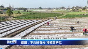 德阳：不负好春光 种植管护忙